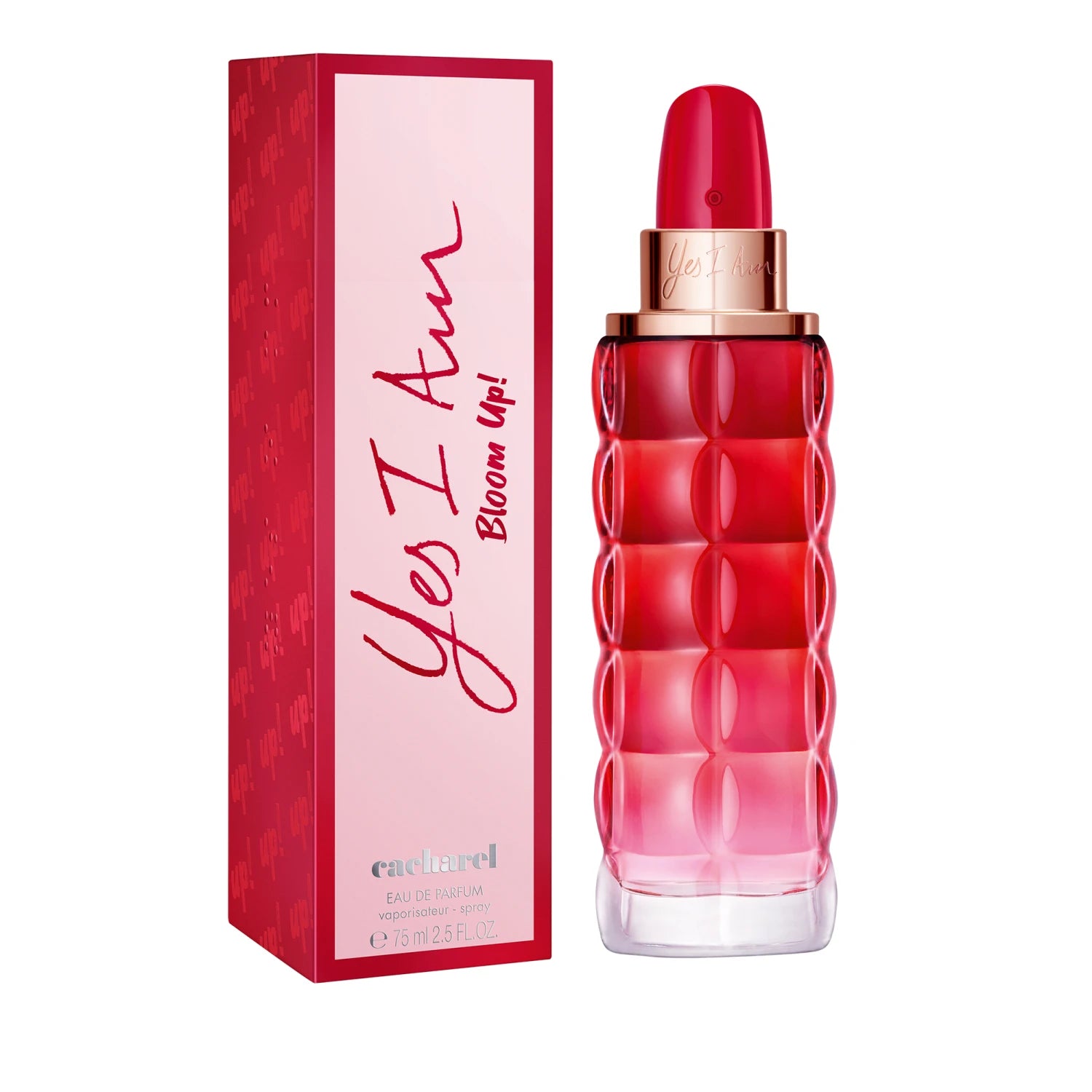 acharel Yes I Am Up EDP 75ml